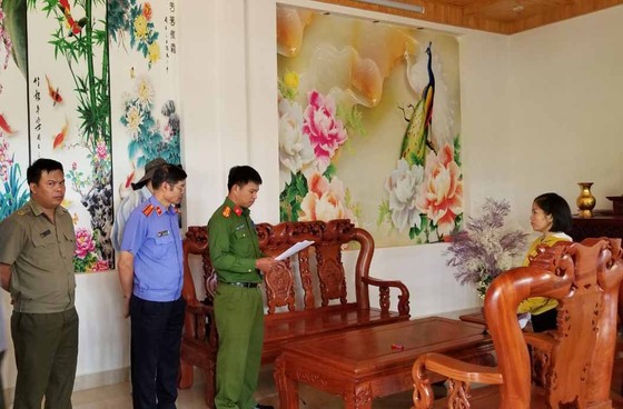 Khởi tố đối tượng chủ mưu phá 10ha rừng thông tại Lâm Đồng ảnh 9