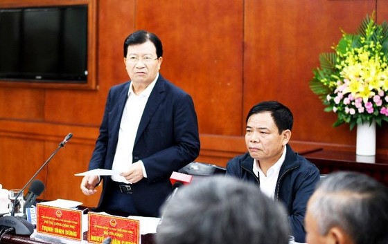 Dịch tả heo châu Phi đã lan ra 6 tỉnh và thành phố, có dấu hiệu lan rộng ảnh 1
