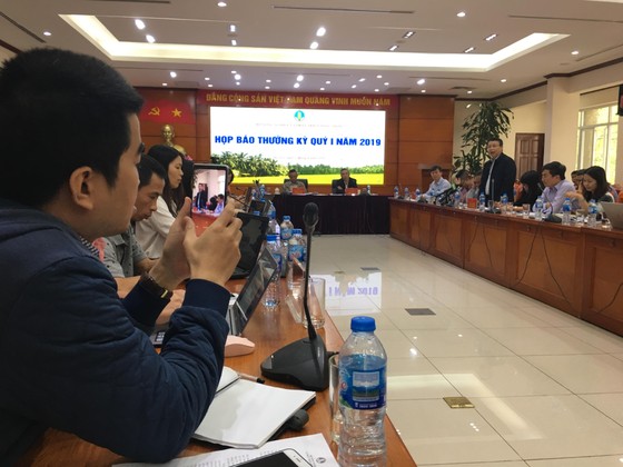 Chưa địa phương nào xử được chó thả rông ảnh 1