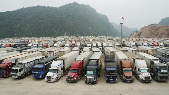21 doanh nghiệp Việt Nam tìm cơ hội xuất khẩu nông sản sang Vân Nam – Trung Quốc ảnh 1