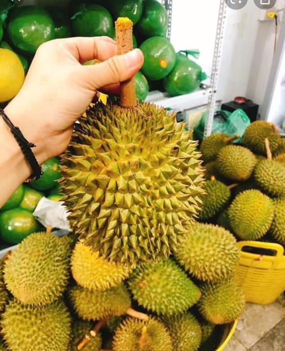 Sầu riêng Việt Nam 'bán chạy như tôm tươi' tại Úc ảnh 1