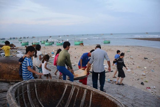 Rùa biển lại đi lạc vào Nhà máy Nhiệt điện Vĩnh Tân 2 ảnh 3