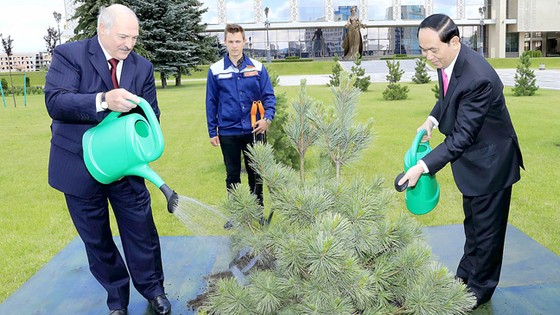 Chủ tịch nước Trần Đại Quang hội đàm với Tổng thống Belarus ảnh 1