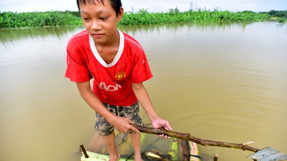 Nước sông Hồng dâng cao ảnh 2