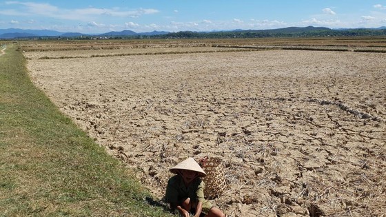 Qua vùng “chảo lửa” - Bài 1: Đồng khô cỏ cháy ảnh 2