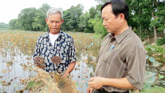 Qua vùng “chảo lửa” - Bài 1: Đồng khô cỏ cháy ảnh 3