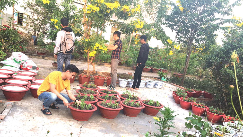 Sạch rác, dân vui ảnh 1