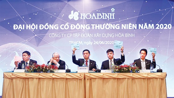 Đại hội đồng cổ đông thường niên Tập đoàn Xây dựng Hòa Bình: Thông qua kế hoạch hoạt động 2020 ảnh 1