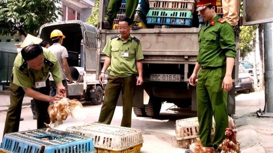 Virus H7N9 biến đổi có thể lây nhanh hơn trước 1.000 lần ảnh 1