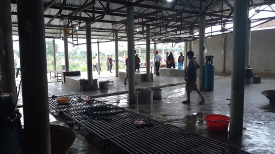 Nghi vấn cơ sở giết mổ có dịch bệnh lở mồm long móng, người dân yêu cầu làm rõ ảnh 3
