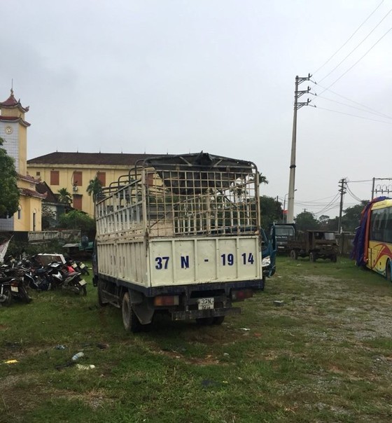 Thuê xe ô tô tải đi bắt trộm 8 con trâu ảnh 1