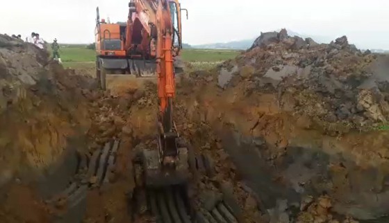 Tiêu hủy 97 con heo bị lở mồm long móng được xe tải vận chuyển "lọt" qua nhiều tỉnh ảnh 1