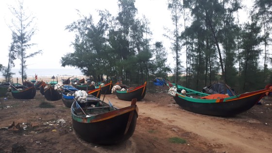 Các tỉnh miền Trung nỗ lực ứng phó bão số 4 ảnh 10