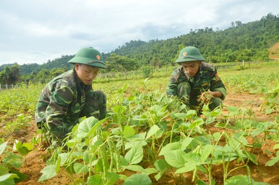Hiệu quả từ mô hình '5 vườn, 3 giàn' của Bộ đội Biên phòng Hà Tĩnh ảnh 4