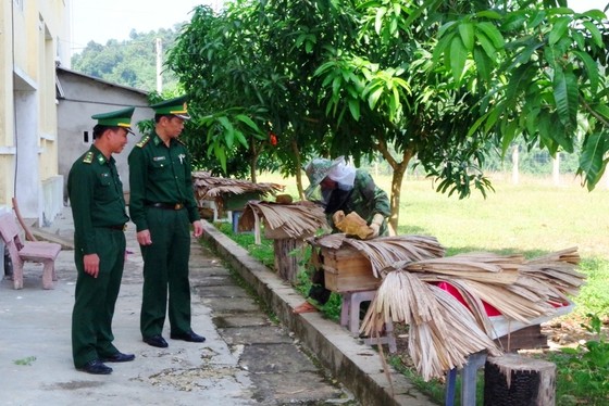 Hiệu quả từ mô hình '5 vườn, 3 giàn' của Bộ đội Biên phòng Hà Tĩnh ảnh 1