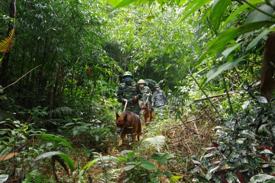 Kiểm soát chặt chẽ khu vực biên giới Việt - Lào nhằm ngăn chặn người dân vượt biên trái phép ảnh 8