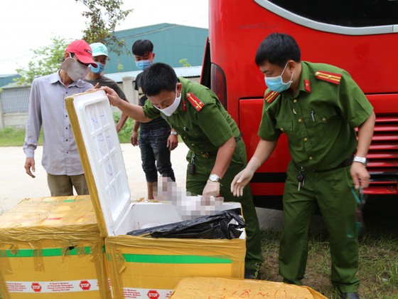 Liên tiếp phát hiện xe khách vận chuyển động vật không rõ nguồn gốc ảnh 1