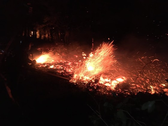 Dập tắt một vụ cháy rừng trong đêm ở Hà Tĩnh ảnh 4