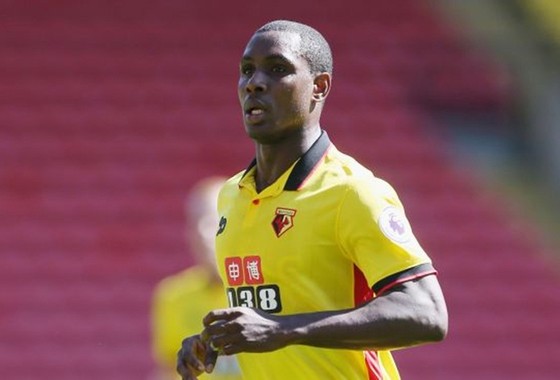 Fernandes đến để hợp tác chứ không để thay Pogba ảnh 1