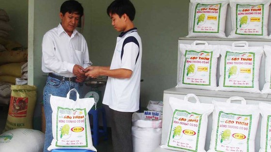 Gạo Việt củng cố thương hiệu ảnh 1
