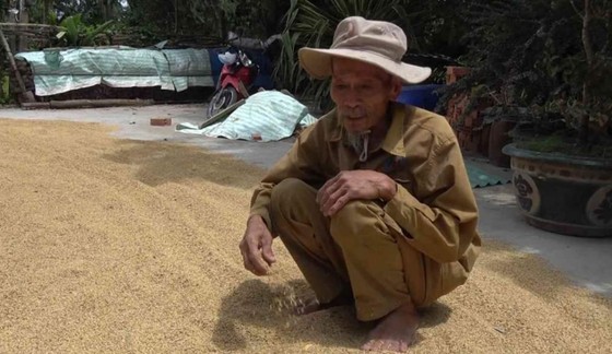Chuyện về người Anh hùng chân đất... ảnh 1