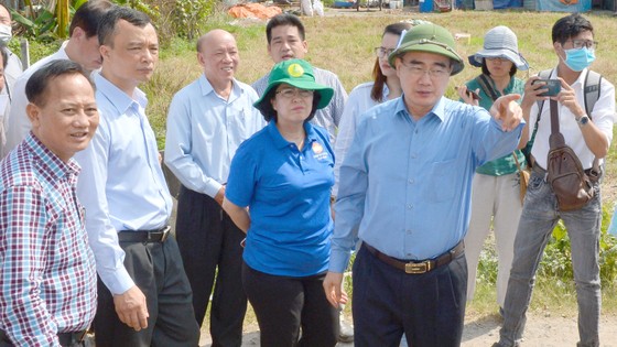 TPHCM xây dựng, chỉnh đốn Đảng bằng cơ chế sáng tạo ảnh 1