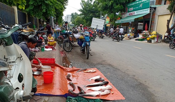 Tìm giải pháp quản lý vỉa hè hiệu quả - Bài 1: Để quy định mới không đi vào lối mòn ảnh 1