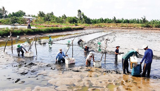 Tăng tốc xuất khẩu thủy sản ảnh 1