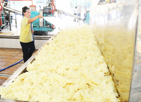 Nâng cao giá trị ngành công nghiệp chế biến cao su ảnh 1