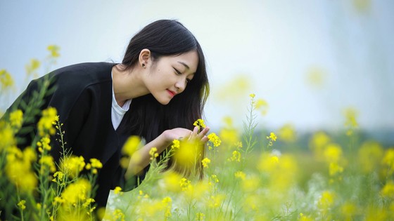 Cánh đồng hoa cải rực rỡ trong nắng đông ảnh 11