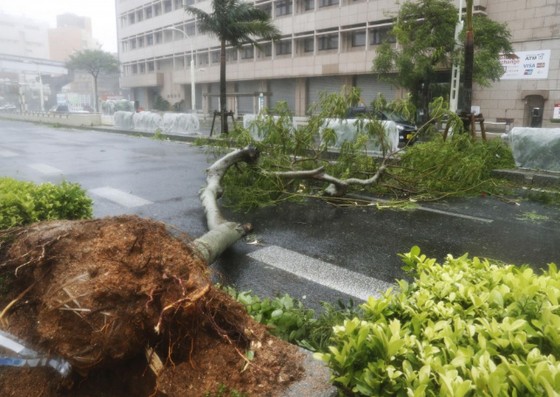 Bão Trami đổ bộ Nhật Bản, 5 người bị thương ảnh 8