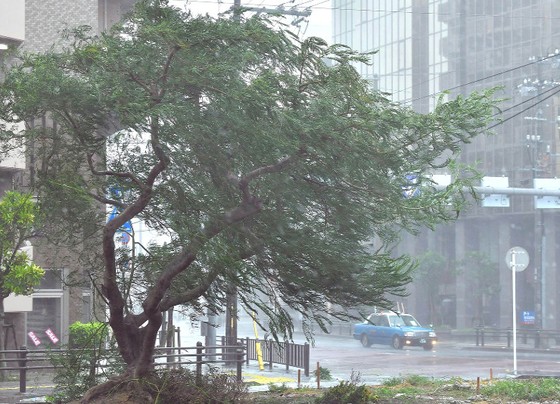 Bão Trami đổ bộ Nhật Bản, 5 người bị thương ảnh 4