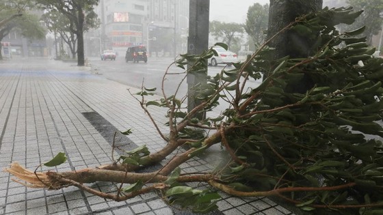Bão Trami đổ bộ Nhật Bản, 5 người bị thương ảnh 10