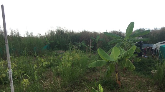 Đấu giá khu đất dự án Khu công nghiệp Phong Phú: Người trúng đấu giá có trách nhiệm lo tiếp đền bù, tái định cư ảnh 1