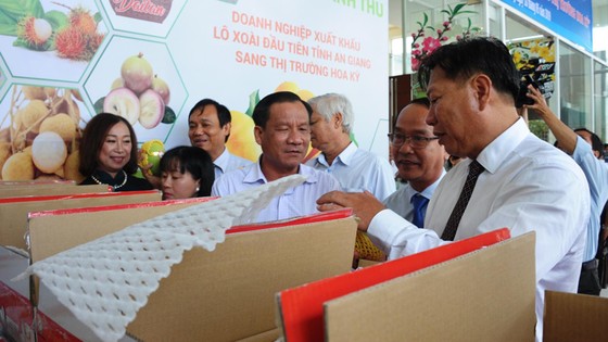 An Giang xuất khẩu lô xoài đầu tiên sang Mỹ ảnh 1