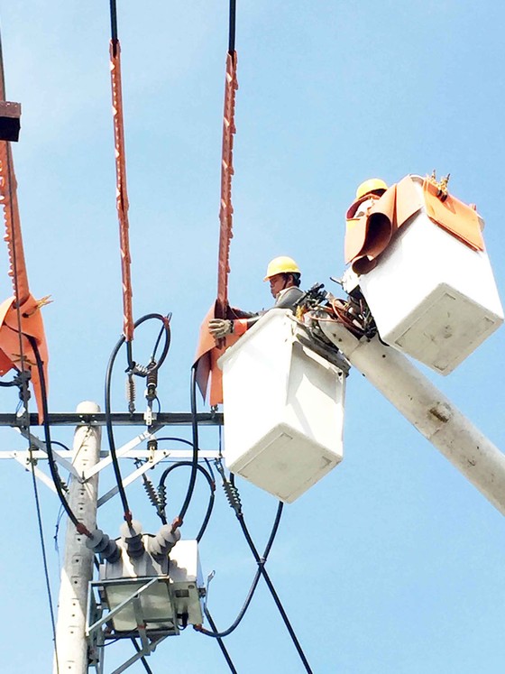 Điện lực TPHCM nỗ lực trở thành doanh nghiệp số ảnh 1