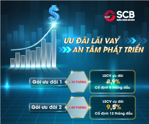 SCB triển khai gói vay ưu đãi chỉ 8,9%/năm dành cho doanh nghiệp ảnh 1