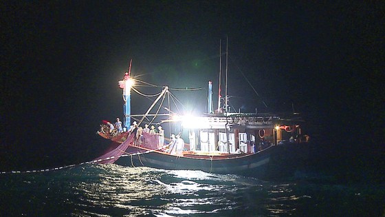 Lộc biển đầu hè ảnh 1