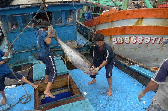 Bài 2: Chinh phục biển bằng công nghệ mới ảnh 1