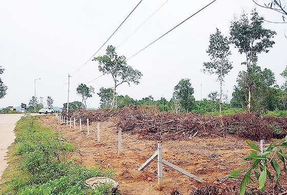 Sốt đất ở các đặc khu: “Hòn lửa” cháy túi người mua cuối ảnh 1