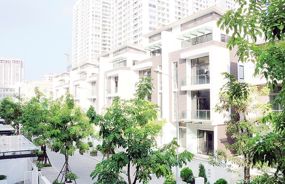 Mãn nhãn với không gian sống xanh tại “khu phố nhà giàu” ở Hà Nội ảnh 3