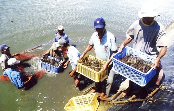 Xuất khẩu thủy sản: Hướng tới mục tiêu 10 tỷ USD ảnh 1