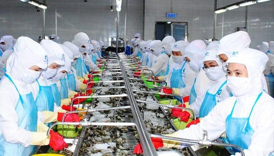 Xuất khẩu thủy sản: Hướng tới mục tiêu 10 tỷ USD ảnh 2