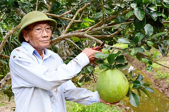 Về nơi đất chuyển ảnh 1