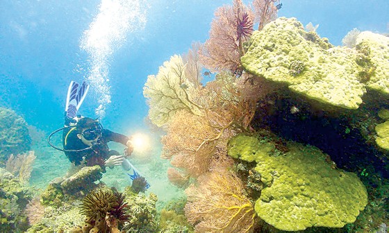 Lung linh Việt Nam ảnh 6