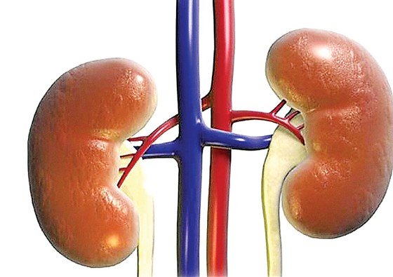 Tại sao đi tiểu 2 lần/đêm thì nguy cơ suy thận cao? ảnh 1