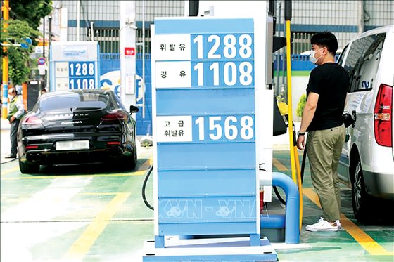 Giá dầu mỏ và chứng khoán cùng sụt giảm ảnh 1
