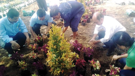 Xử lý ô nhiễm môi trường nông thôn ảnh 1