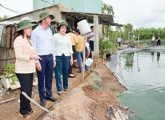 Thực hiện ngay mô hình chính quyền đô thị tại TPHCM ảnh 1