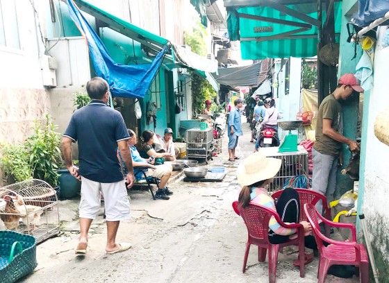 Kinh doanh, giết mổ gia cầm giữa hẻm ảnh 1